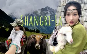 Télécharger la video: VLOG 16 | 香格里拉的夏天是广阔的绿！