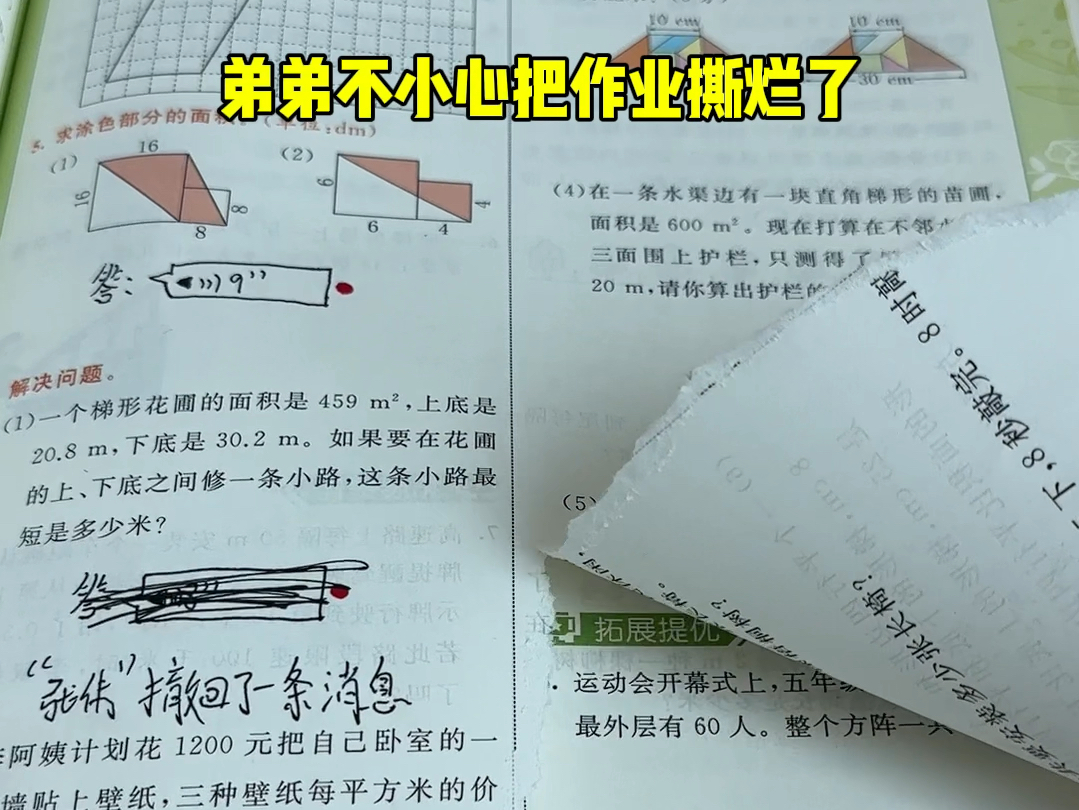 弟弟不小心把作业撕烂了,过来求助我-张伟爱钓鱼-张伟爱钓鱼-哔哩哔哩视频