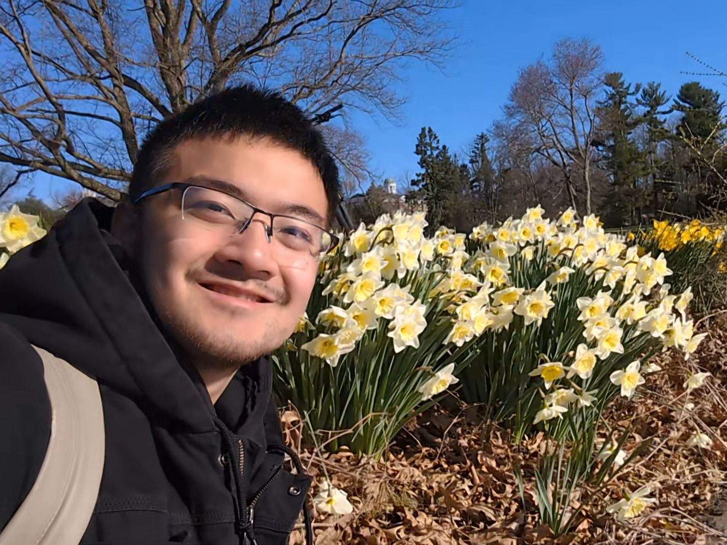 [图]Princeton in flowers！ 再给大家更点高尔夫球场上的洋水仙！