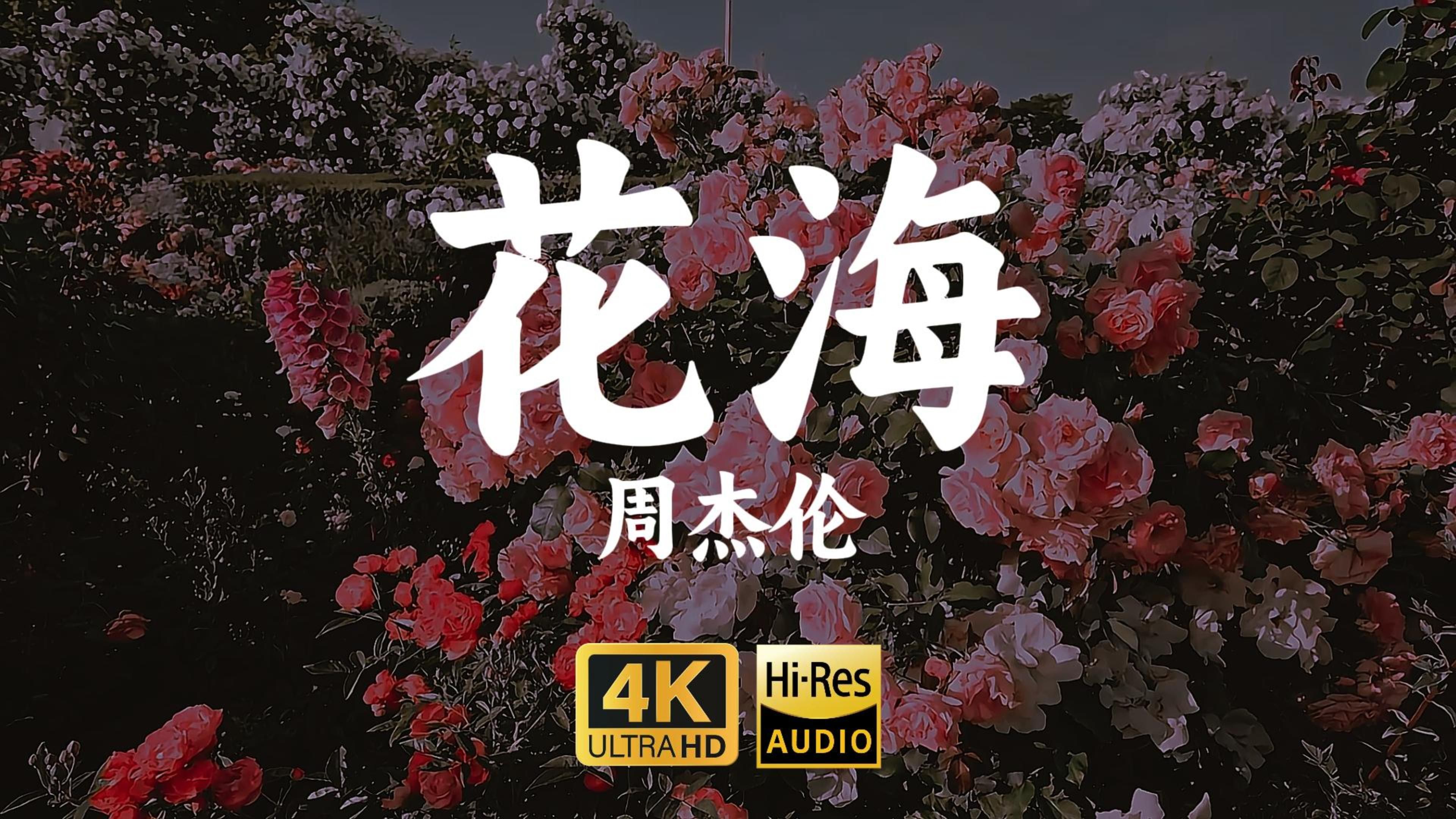 【4KHiRes】《花海》周杰伦“三月的阳光,温暖的春风,天空仍灿烂,它爱着大海”哔哩哔哩bilibili