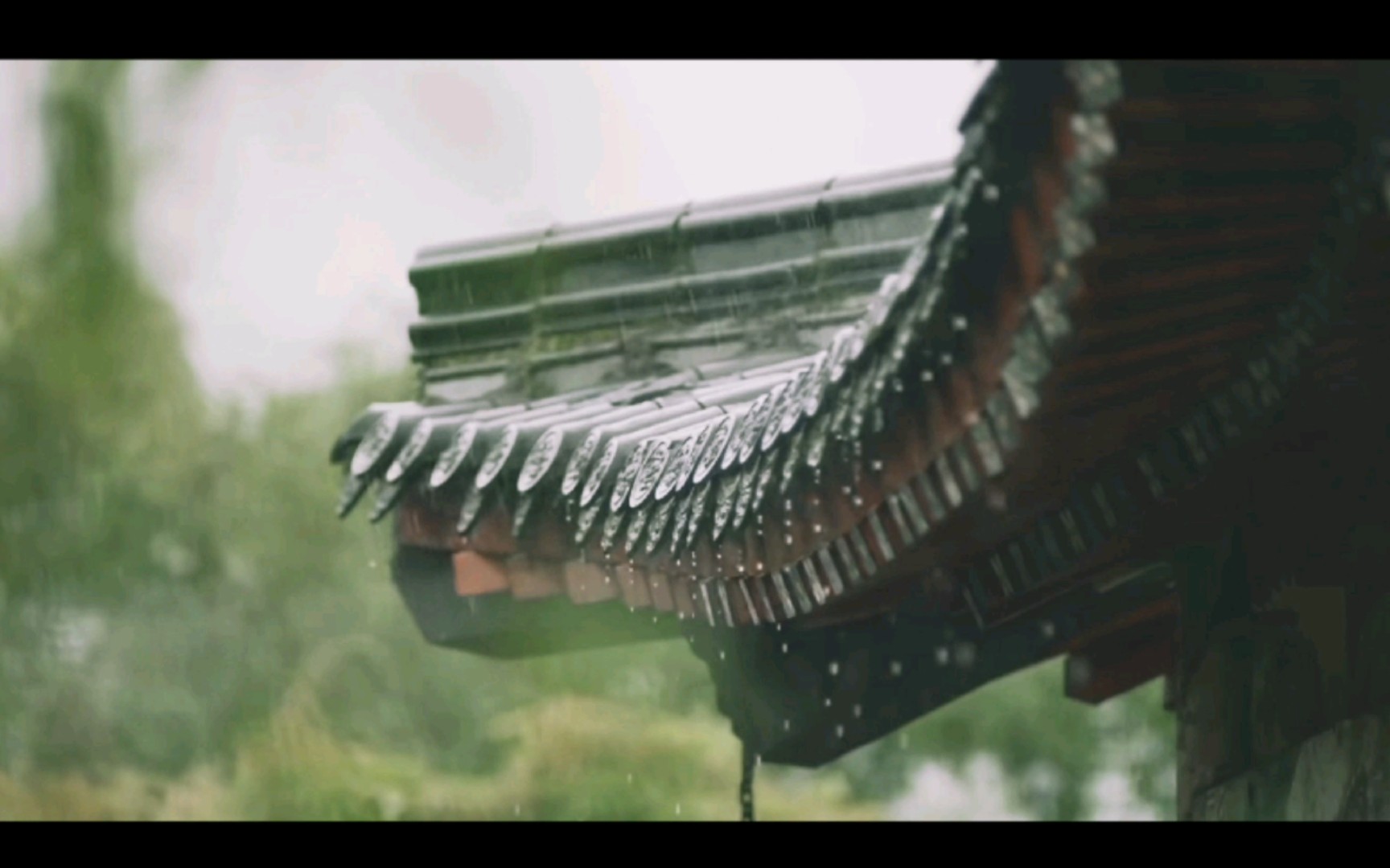 觉醒年代空镜向│渭北春天树江东日暮云