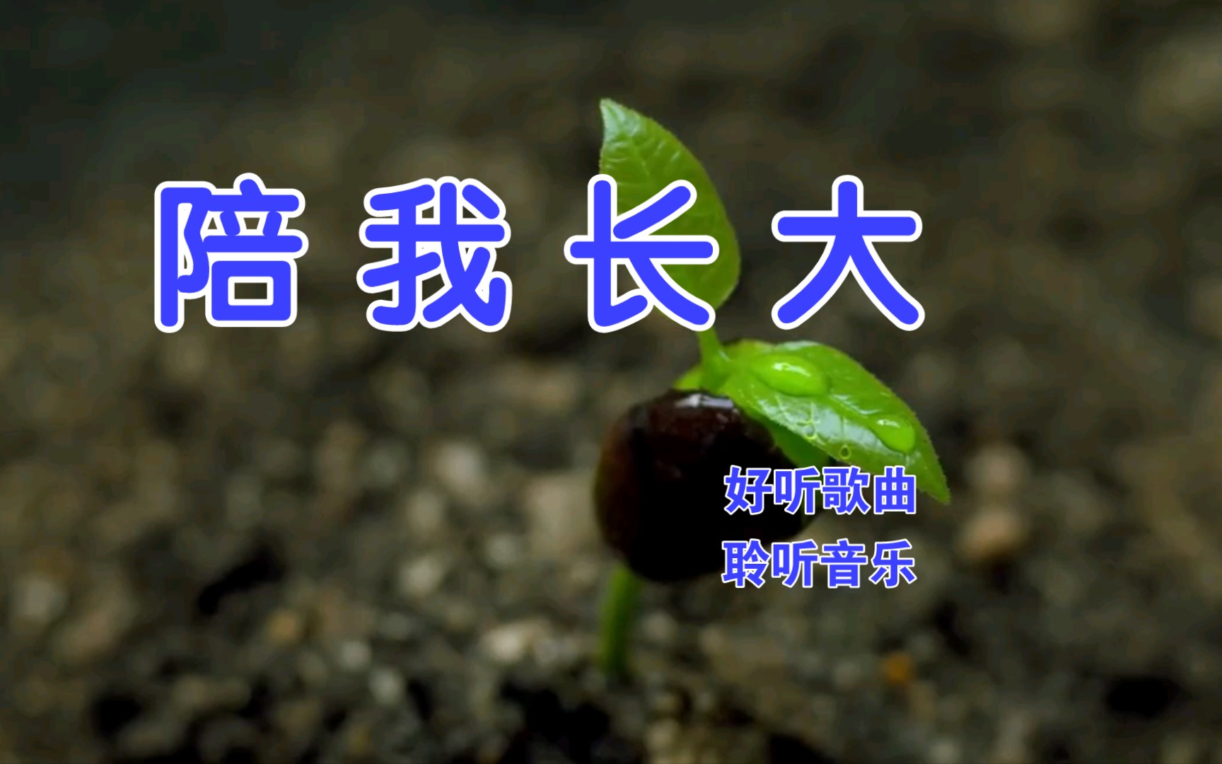 一首好听的歌曲《陪我长大》,旋律动听,歌声悠扬!