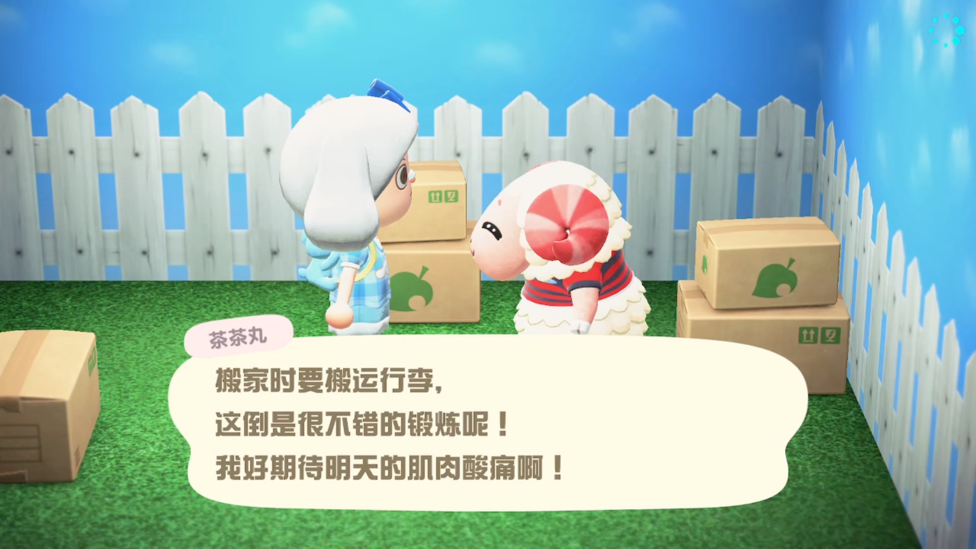 诚信互粉互赞互评. 有人想来接茶茶丸嘛 就今天哟