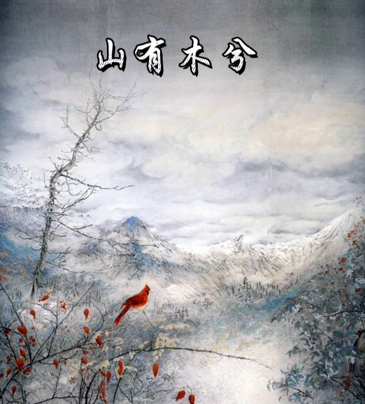 山有木兮哥哥来陪你了景向谁依向全世界安利广播剧广播剧推荐山有