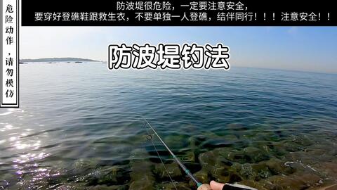 海水根钓篇 防波堤操作手法 哔哩哔哩