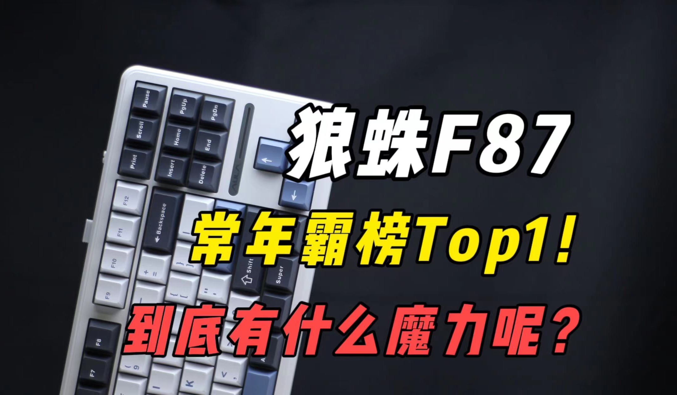 常年霸榜Top1的狼蛛F87到底有什么魔力呢?让我们一起揭开它神秘的面纱!哔哩哔哩bilibili