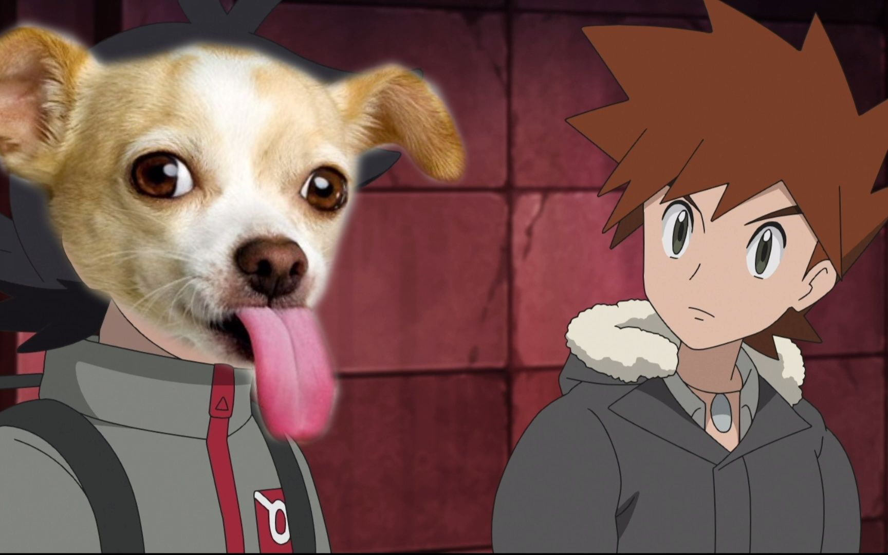 活动  进击的狗豪