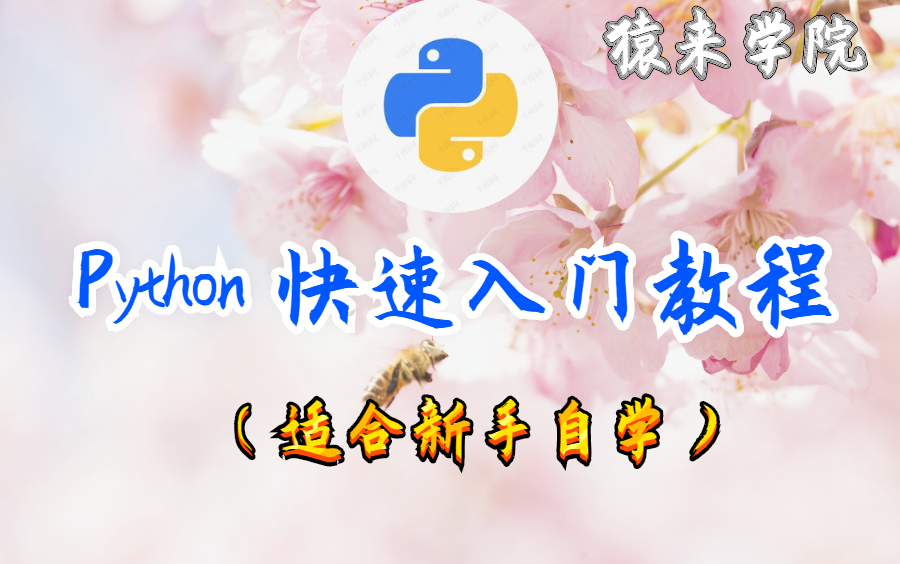 python 快速入门教程(适合新手自学)哔哩哔哩bilibili