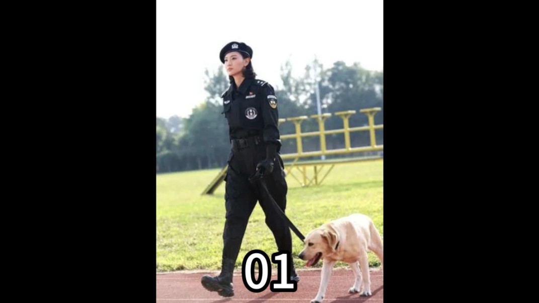 警犬与警花哔哩哔哩bilibili