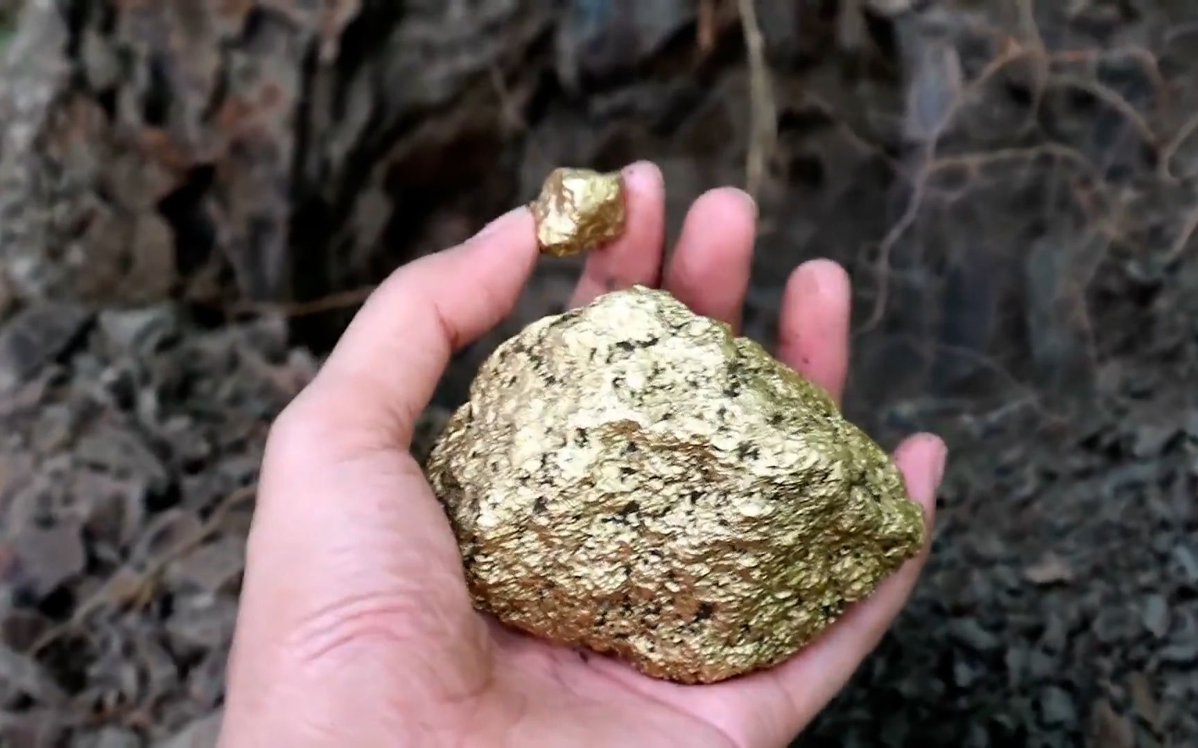男子为挖金凿穿岩石,黄金露出真容令人目眩,它能值多少钱?