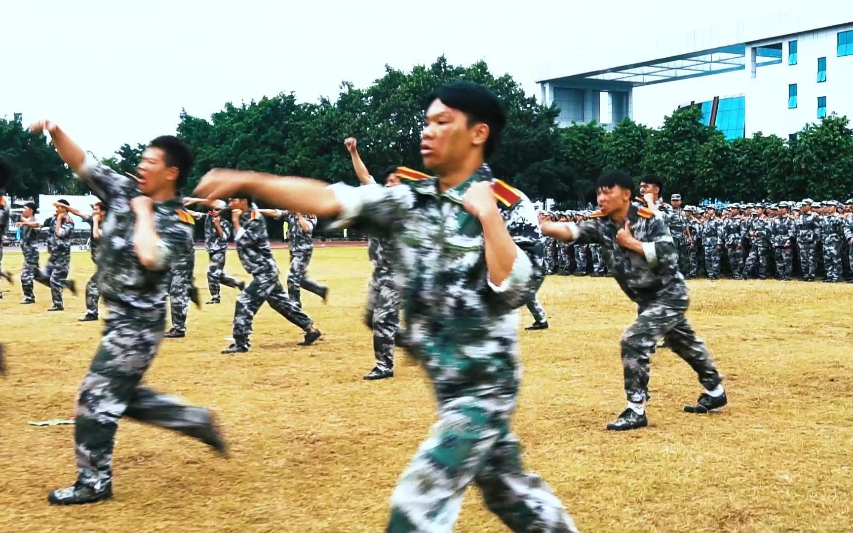 广西职业师范学院军训图片