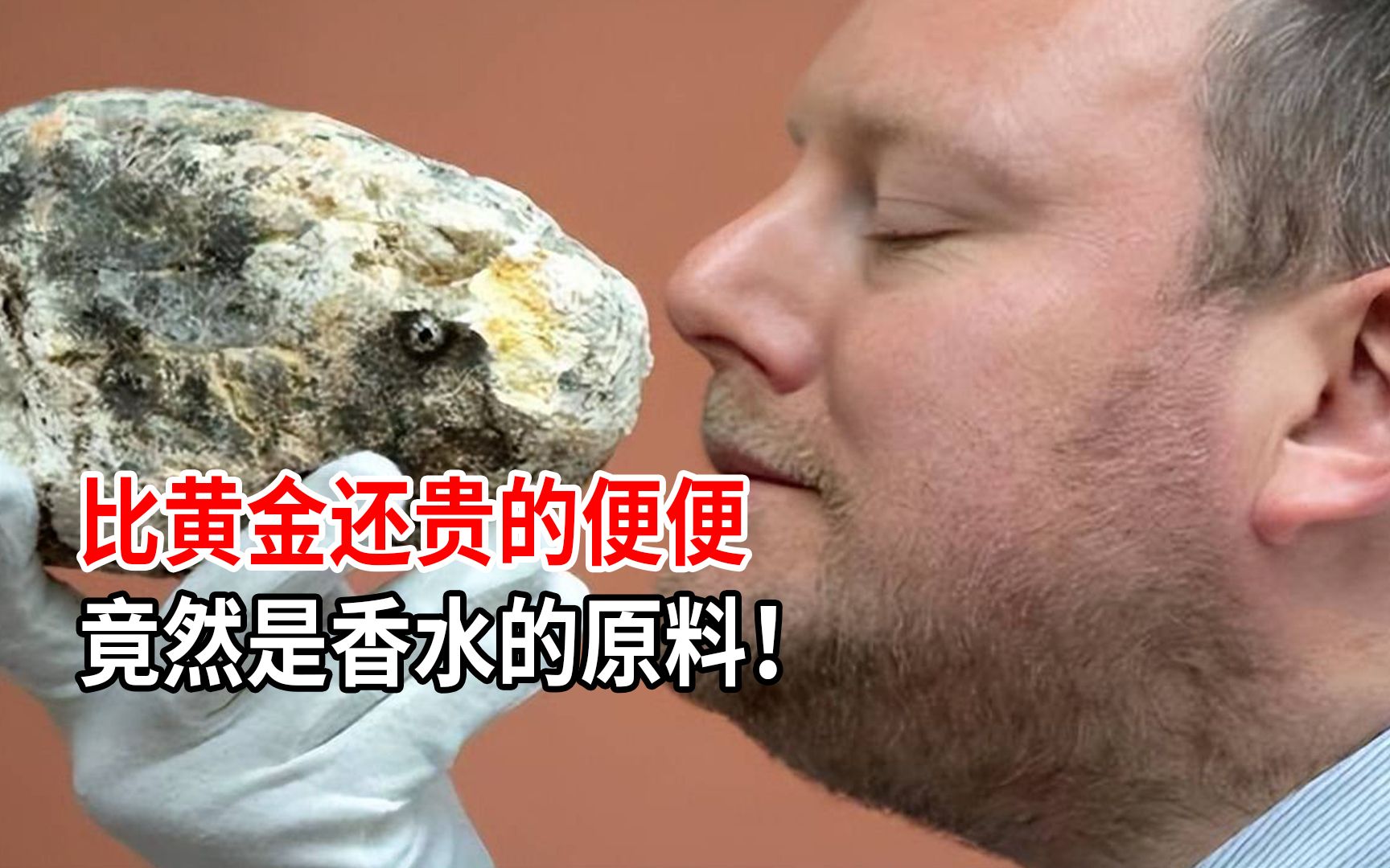 比黄金还贵的便便,竟然是香水的原料!抹香鲸便便为啥这么贵?