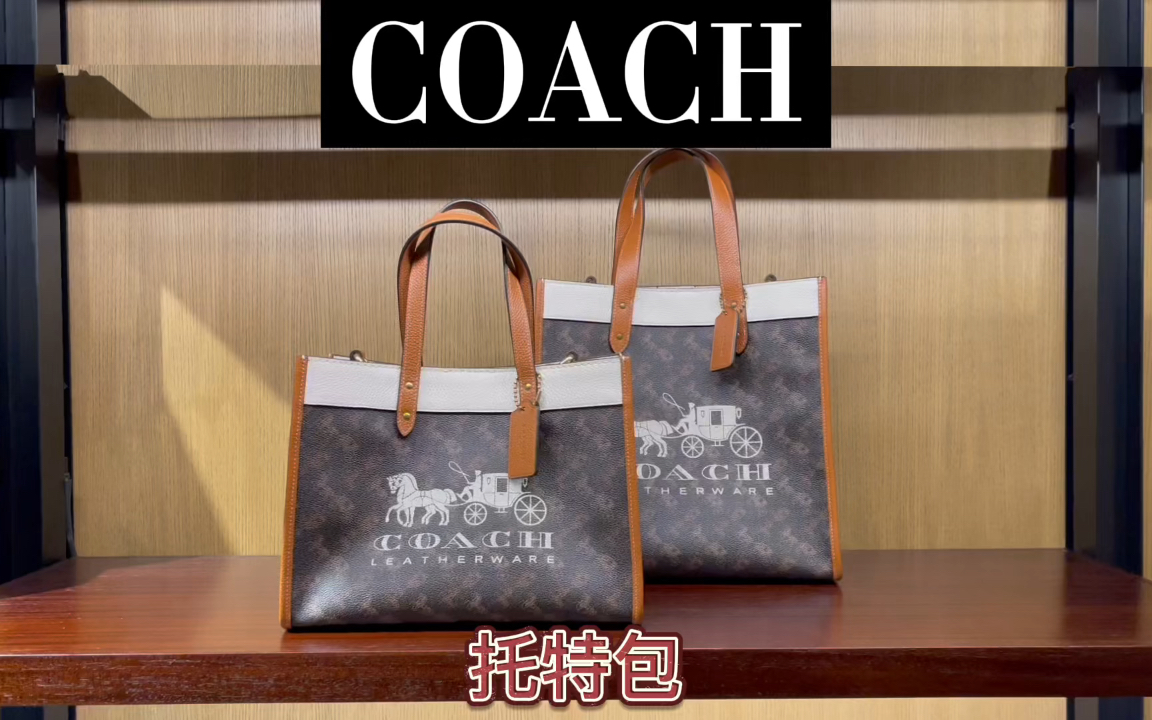 Coach 二月新款 马车托特系22、30 平替赛琳哔哩哔哩bilibili