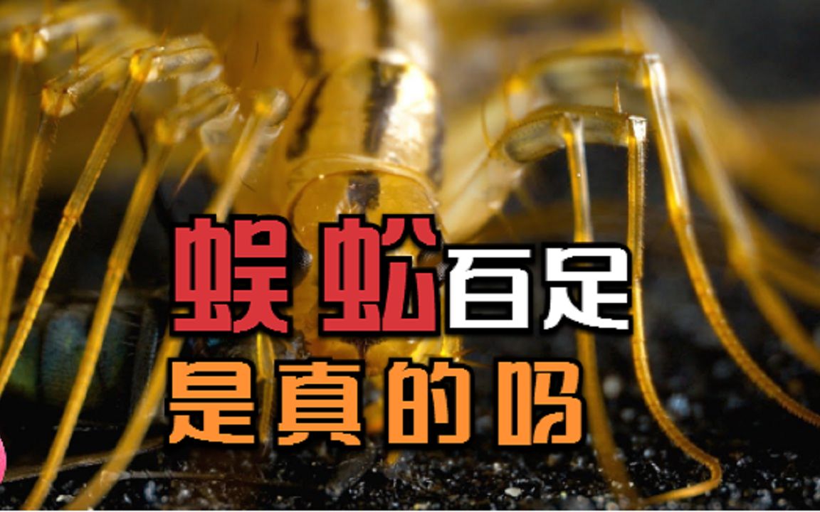 蜈蚣百足是真的吗?