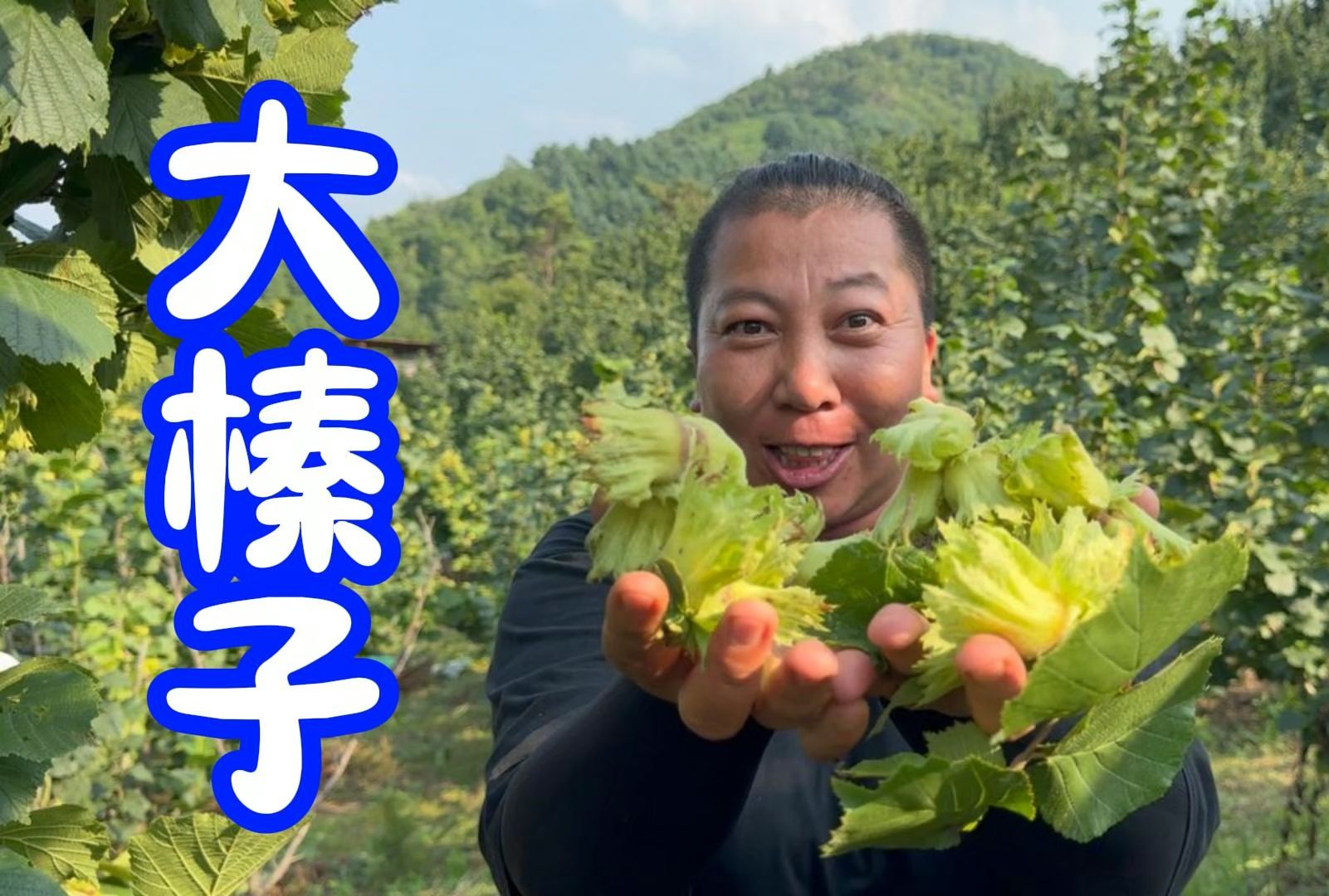 雨姐的力气是真的大，上山摘榛子老蒯扛不起来的袋子雨姐能扛俩-东北雨姐-东北雨姐-哔哩哔哩视频