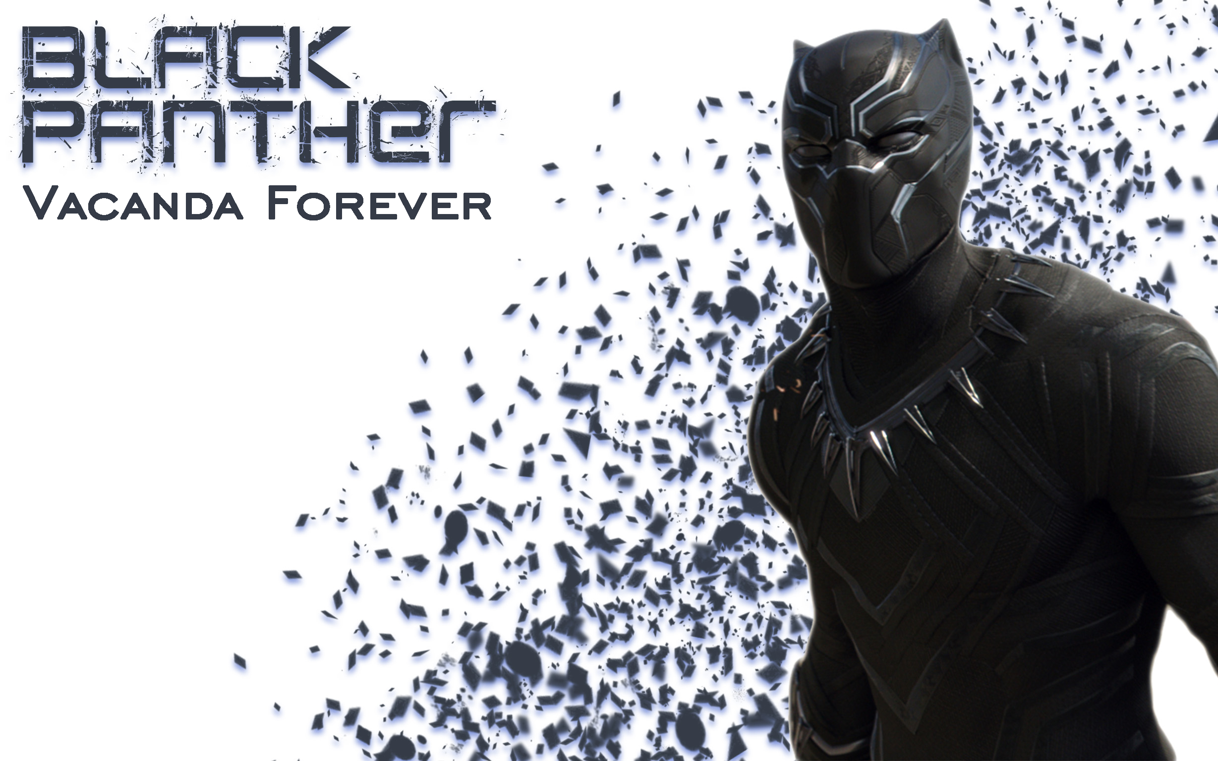 活动  最好的黑豹,愿你在属于你的草原永远奔跑