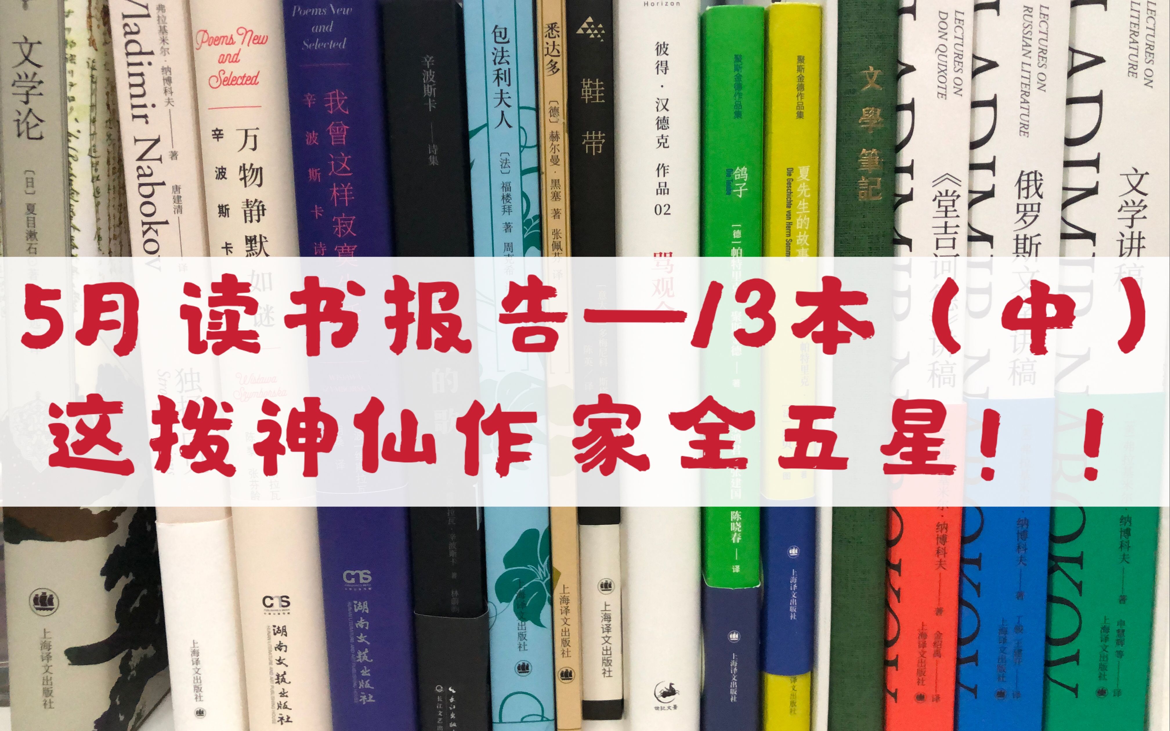 【冰糖】5月读书报告(中)|关于译本选择|虚构类|彼得汉德克|骂观众|黑塞|悉达多|聚斯金德|鸽子|夏先生的故事|译文出版社|果麦|文景|读拉松|待续哔哩哔哩...