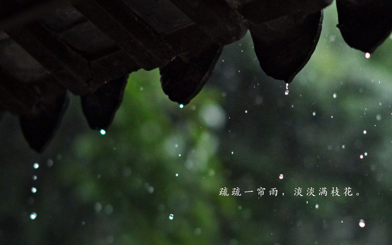 [图]疏疏一帘雨，淡淡满枝花 | 苏州园林