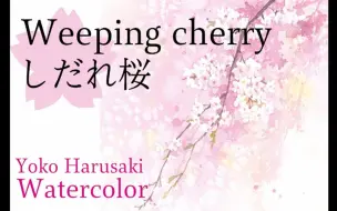 Download Video: 春崎陽子水彩画　しだれ桜【Weeping cherry】 3 color watercolor 水彩画の描き方