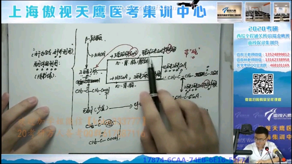 脂质代谢4哔哩哔哩bilibili