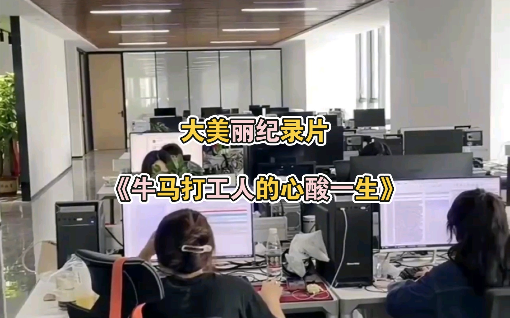 大美丽纪录片《牛马打工人的心酸一生》