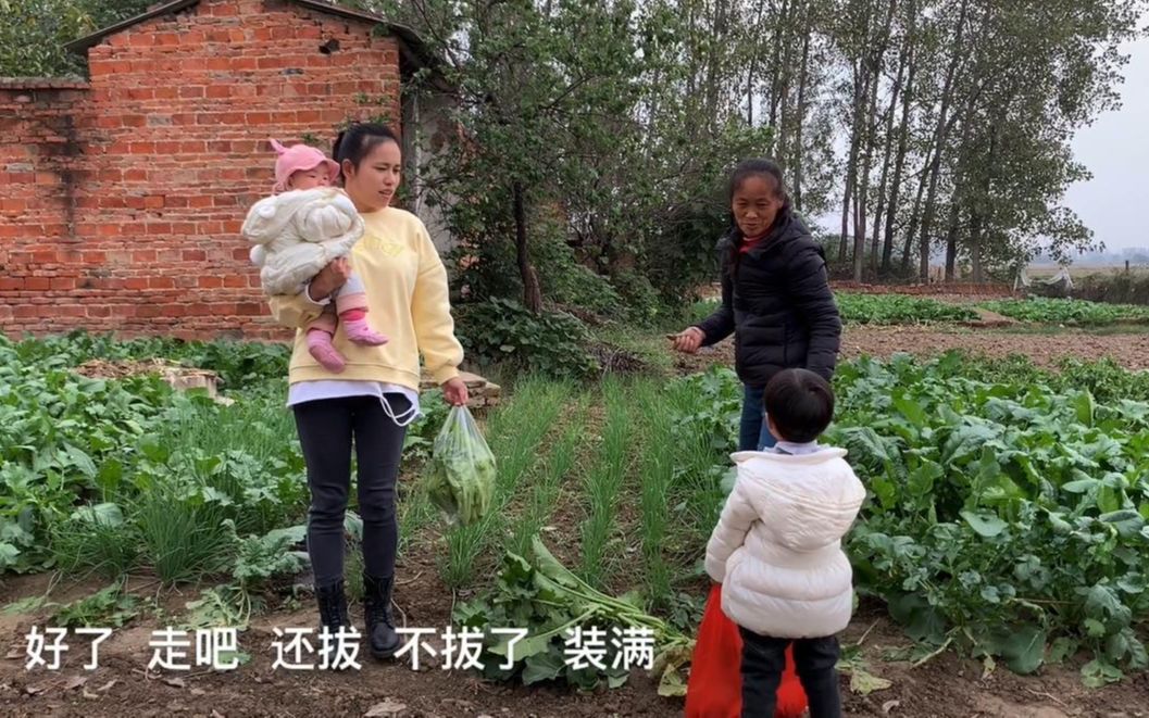 婆婆种的青菜长得真好,拔两兜让儿媳带县城,小玥玥夜里只认妈妈哔哩哔哩bilibili