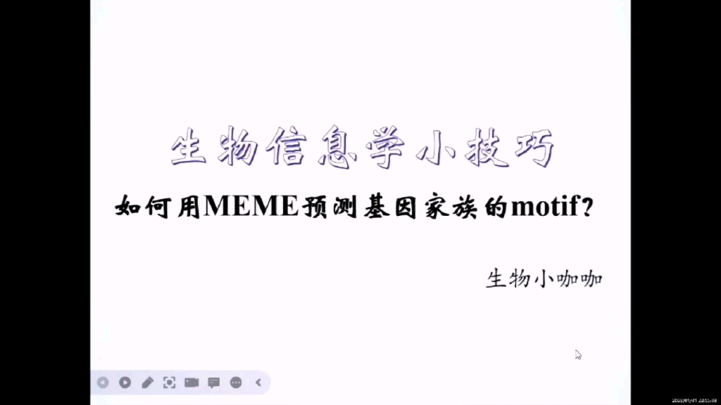 生物信息学如何用MEME预测基因家族的motif哔哩哔哩bilibili