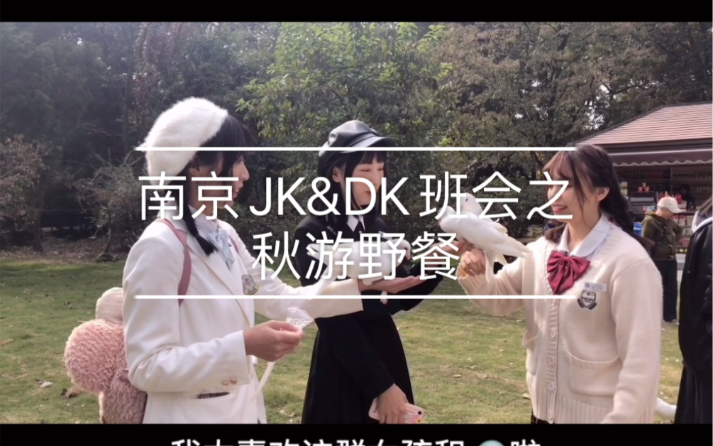 【南京班会】JK&DK班会秋游野餐植物园哔哩哔哩bilibili