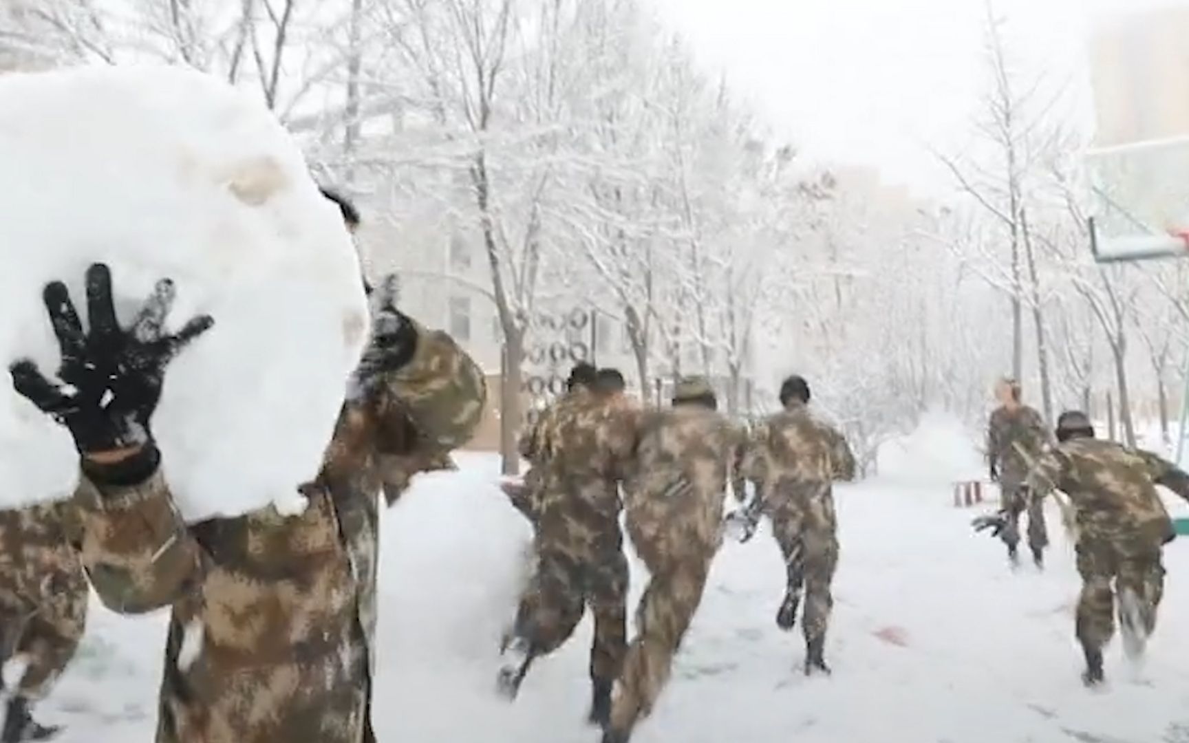 [图]班长：兄弟们，来打雪仗吧，快来面对我的疾风吧~~哈哈哈哈哈哈哈