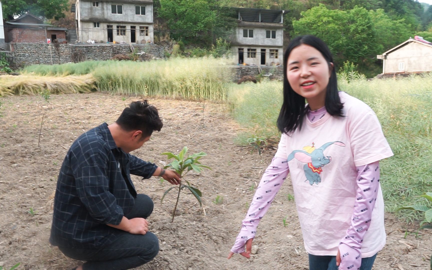 三石和小八去年种的20多棵果树,成活率非常高,现在坐等吃水果了_哔哩