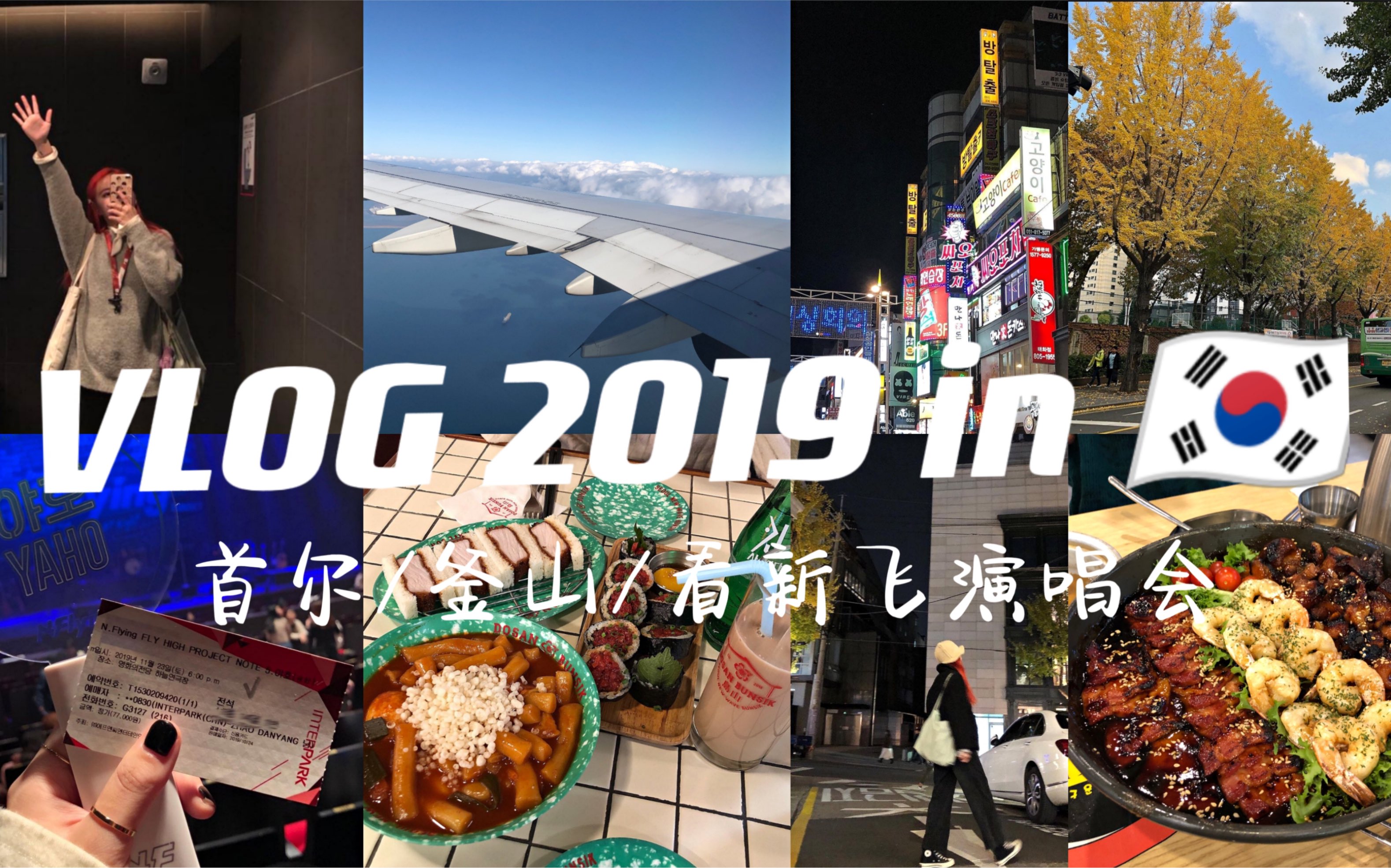 [图]鱼饼VLOG 2019 in韩国丨怀念没有疫情的当年丨限定快乐回忆