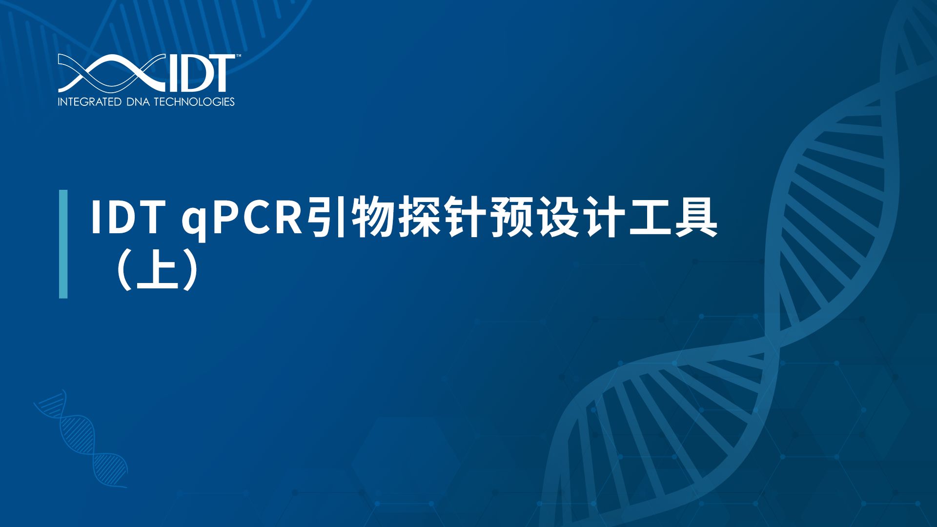 IDT qPCR引物探针预设计工具(上)哔哩哔哩bilibili