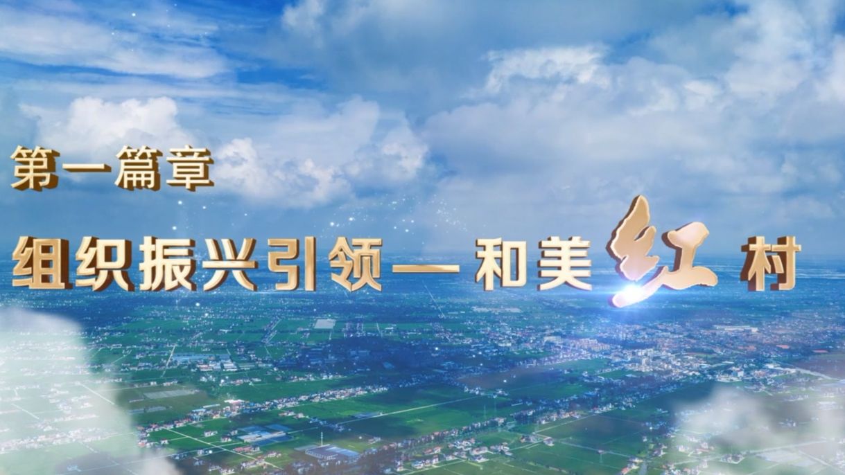 第八届全国高校大学生讲思政课公开课展示活动作品《乡村振兴 青年先行》第一篇章:组织振兴引领和美红村哔哩哔哩bilibili