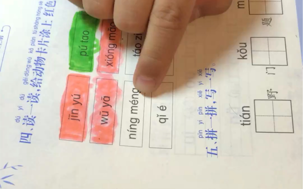 刚学拼音的你柠不柠