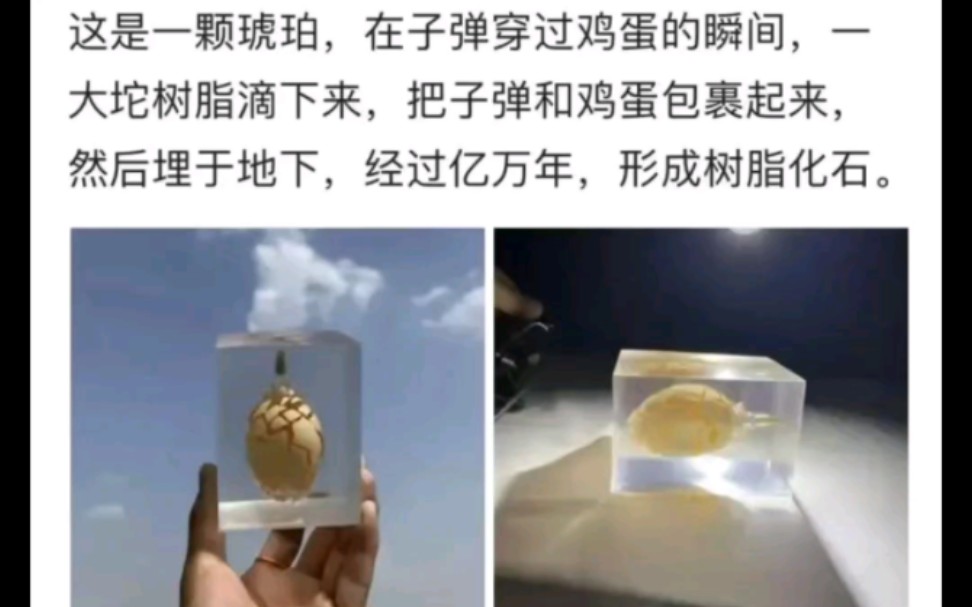 搞笑图片67(后有寻人启事)哔哩哔哩bilibili