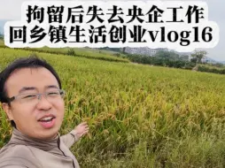 Download Video: 拘留后失去央企工作，回乡镇生活创业vlog16