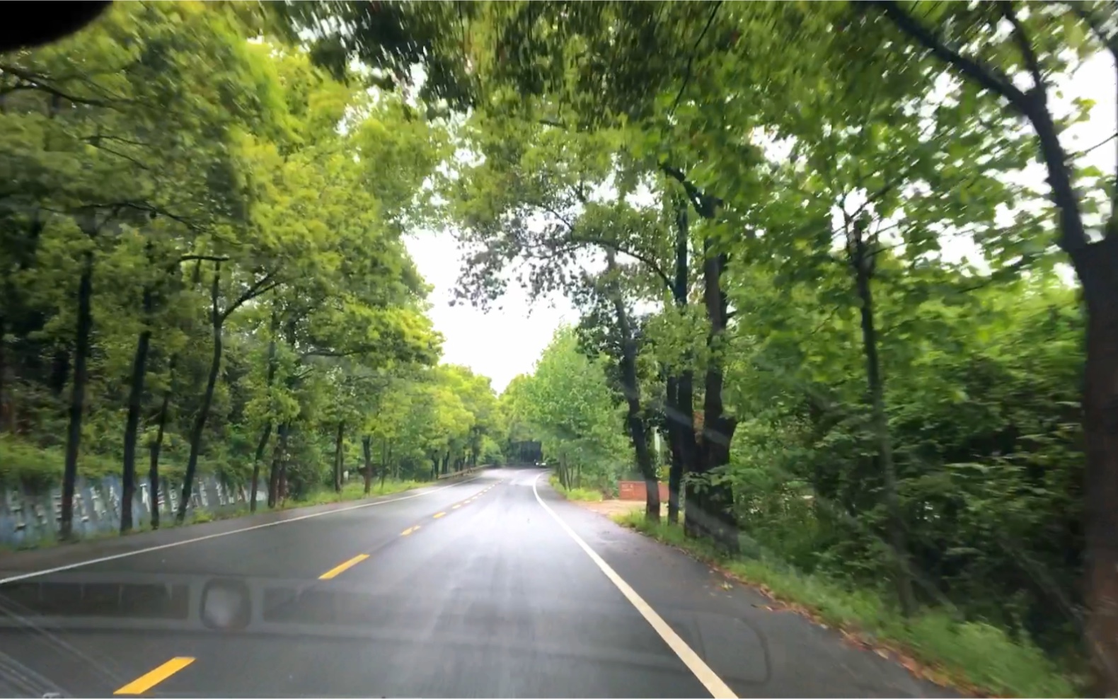 在绿色森林氧吧里穿越是一种怎样的体验,这样的美景太治愈人心了