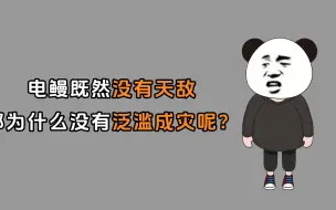 Download Video: 禁止废话：电鳗既然没有天敌，那为什么没有泛滥成灾呢？