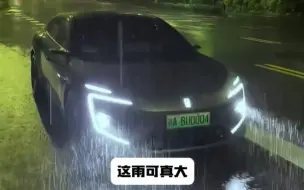 下载视频: 这雨可真大啊，大得像......