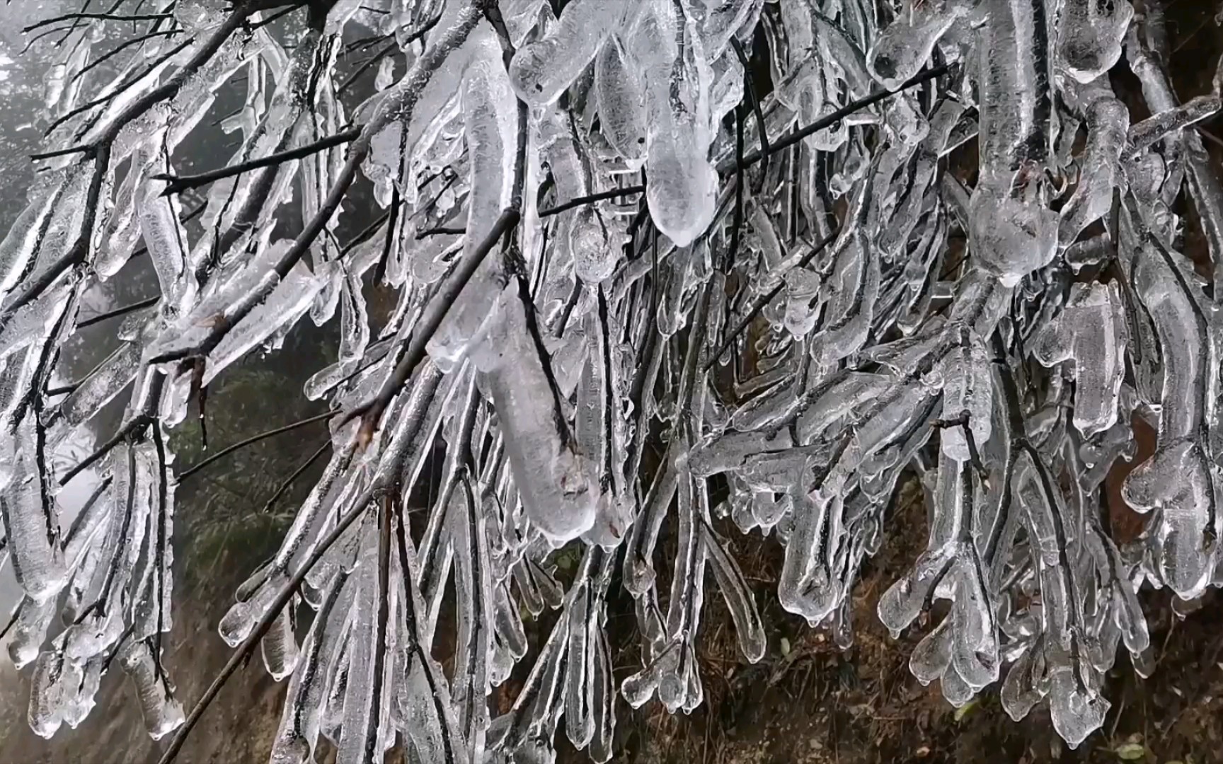 岁暮阴阳催短景,天涯霜雪霁寒宵哔哩哔哩bilibili