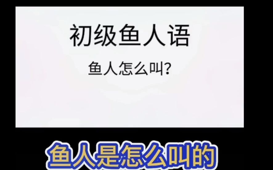 啾啾一秒教会你鱼人语!哔哩哔哩bilibili魔兽世界