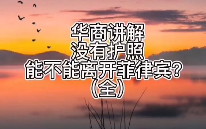 没有护照能不能离开菲律宾?(全)哔哩哔哩bilibili