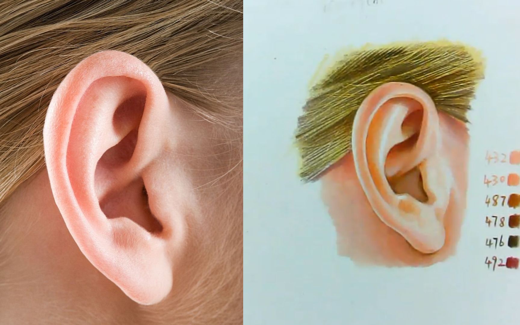 【彩铅从零开始】彩铅写实人物教学——耳朵(下)_哔哩哔哩_bilibili