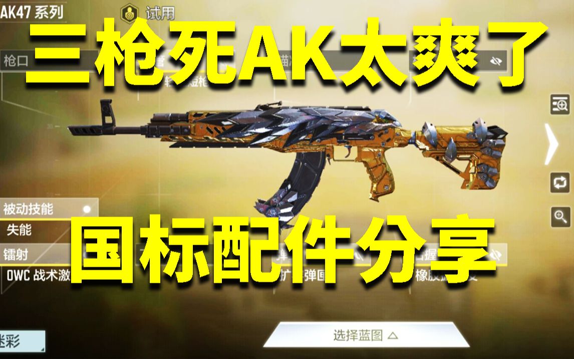 [图]AK47终于站起来了 全国百强配件分享！ 乌拉就完事了！【CODM】