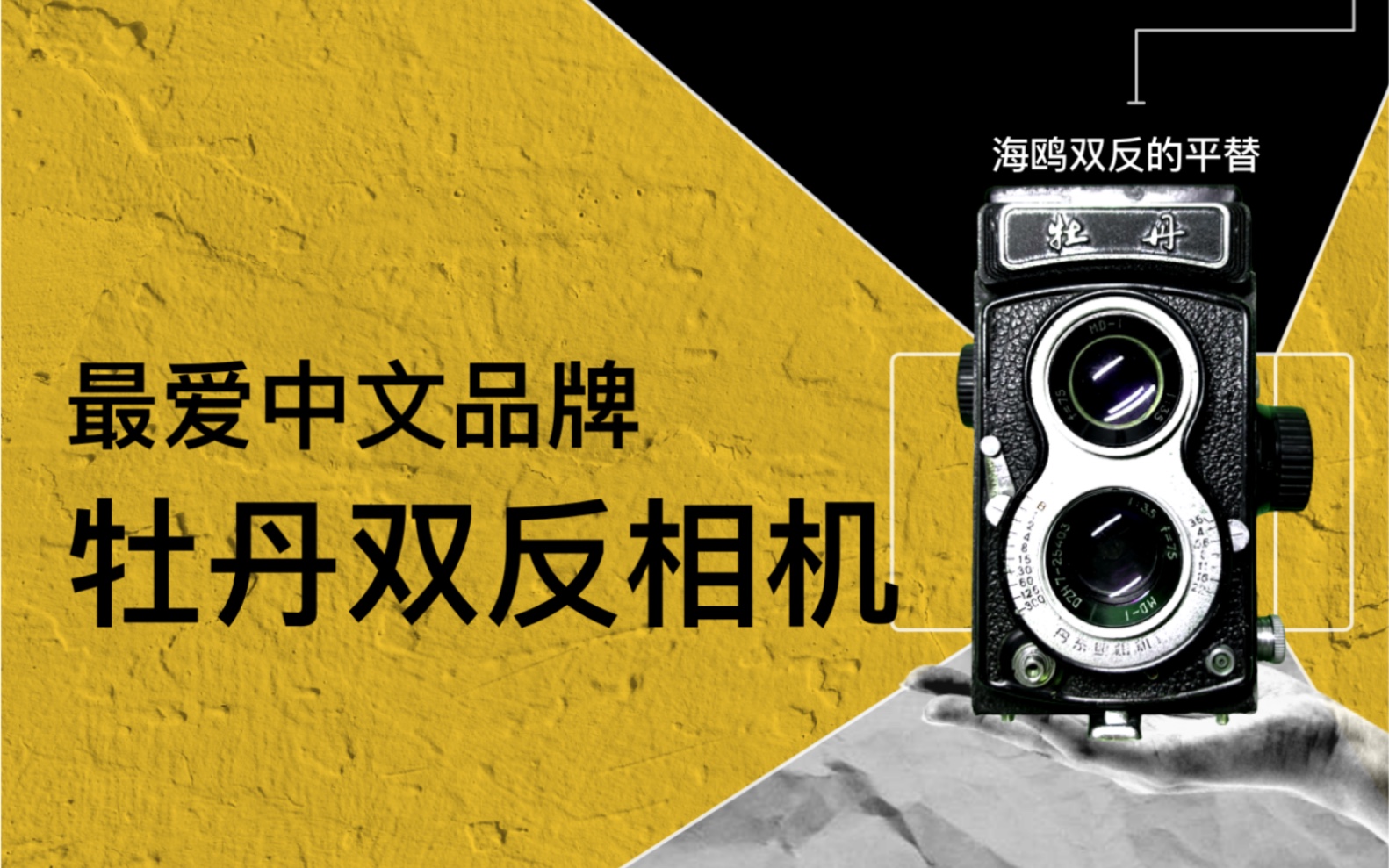 牡丹 120 双反腰屏相机,汉字品牌我的最爱,海鸥120双反平替,胶片相机,胶卷相机,机械相机哔哩哔哩bilibili