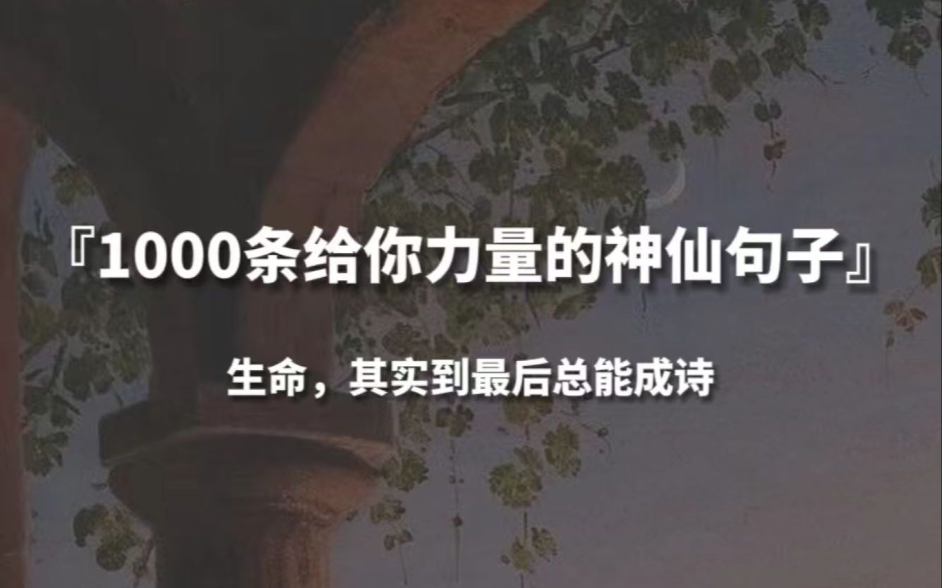 【句子控】“生命, 其实到最后总能成诗”,1000条给你力量的神仙句子哔哩哔哩bilibili