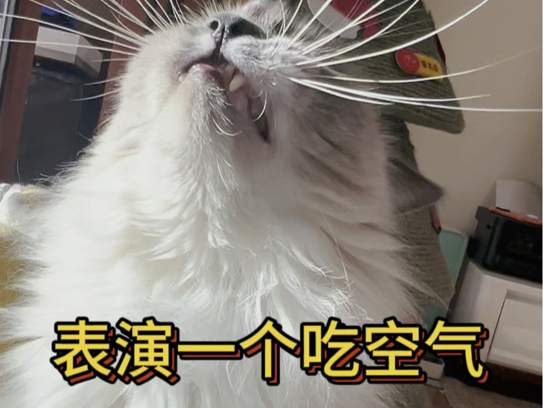 表演一个吃空气