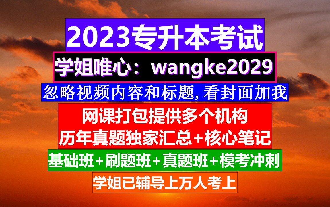 海南省专升本考试,专升本官网入口,专升本英语哔哩哔哩bilibili