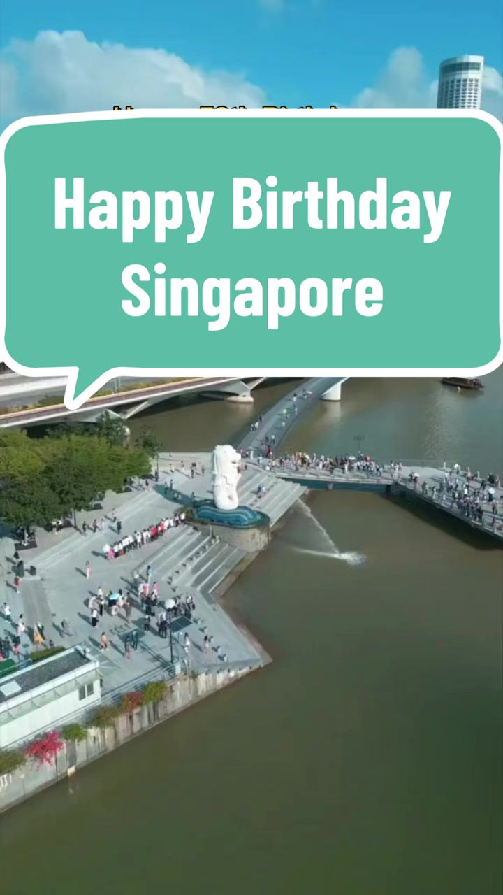 #singapore #59 #birthday #home #kitchan #nationalday #southeastasia #lky #nights哔哩哔哩bilibili