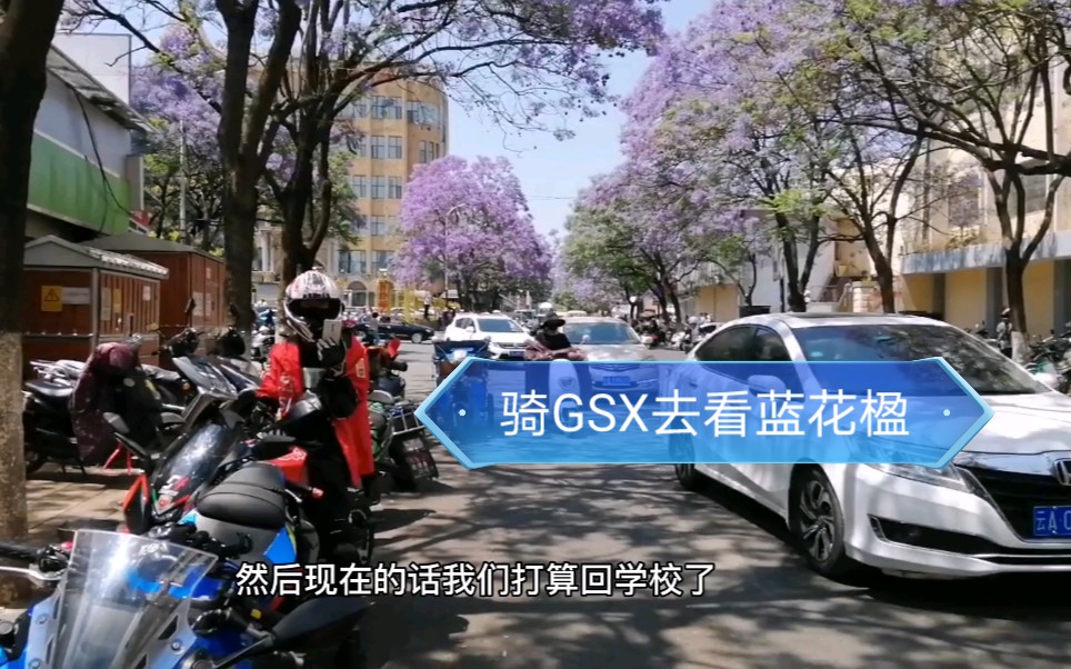 疫情封校期间如何进出校园?骑铃木GSX250去昆明市五华区蓝花楹主题公园看蓝花楹,,,回校记!哔哩哔哩bilibili